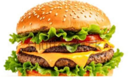 Classic Burger Double Doze