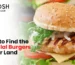 Fanoosh Halal Burger in Sugar Land TX with grilled patty, fresh lettuce, tomato, and cheese, showcasing premium Halal ingredients