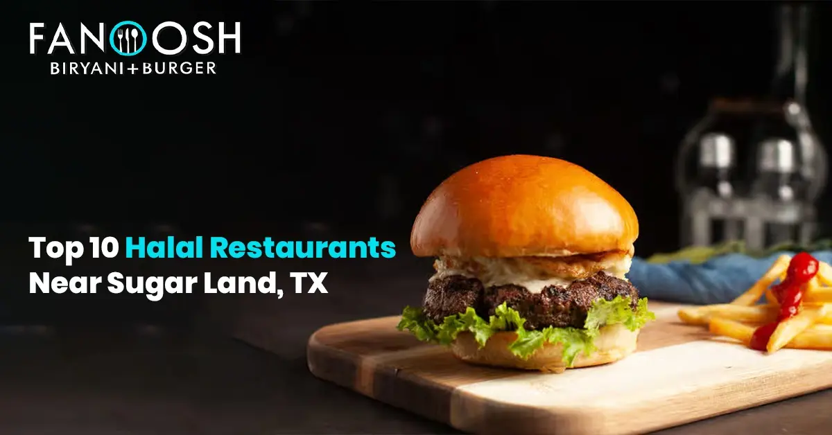 Fanoosh Biryani + Burger highlights top halal restaurants near Sugar Land, TX, featuring a juicy halal burger with crispy fries.